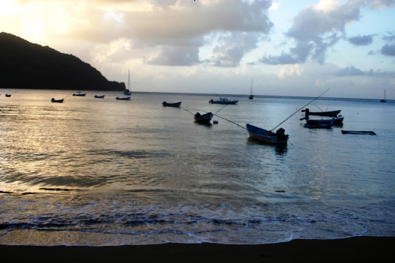 Tobago - Charlotteville (13)