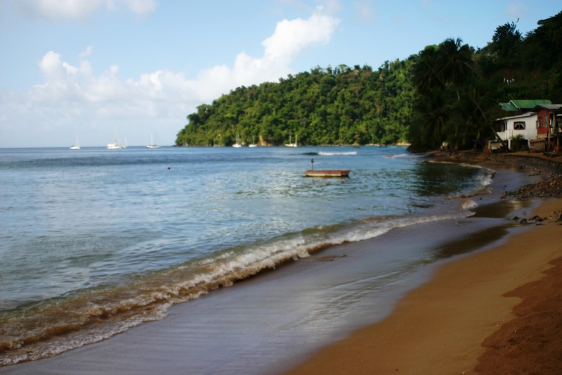 Tobago - Charlotteville (19)