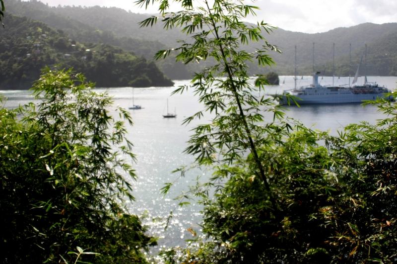 Tobago - Charlotteville (4)