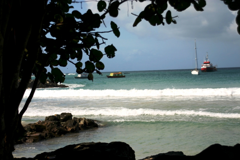 Tobago - Crownspoint (1)