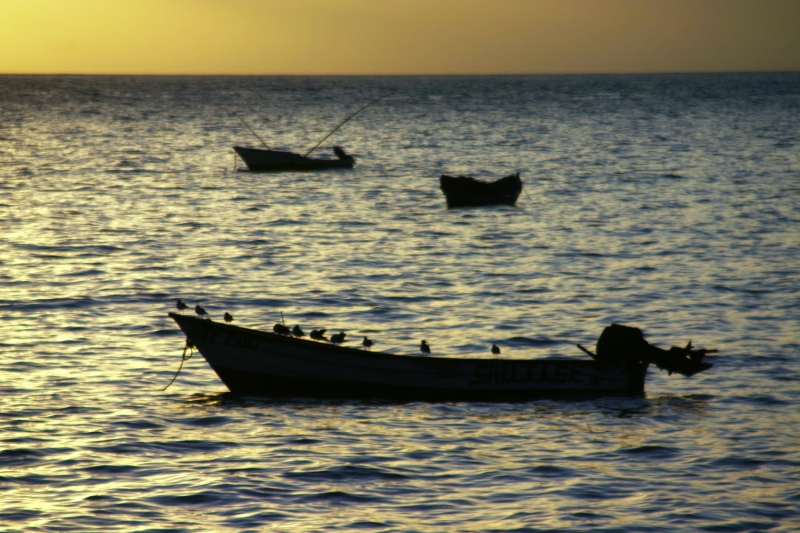 Tobago - in Castara (13)