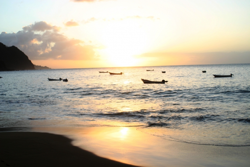 Tobago - in Castara (14)