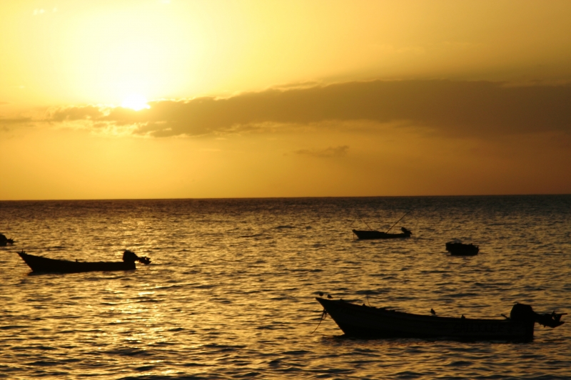 Tobago - in Castara (21)