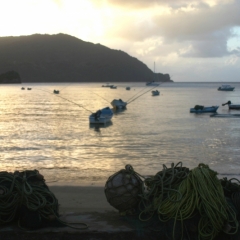 Tobago - Charlotteville (14)