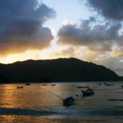 Tobago - Charlotteville (16)