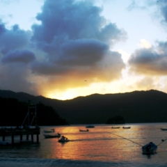 Tobago - Charlotteville (17)