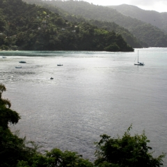 Tobago - Charlotteville (3)
