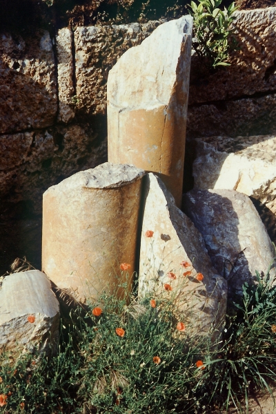Turkije (22)