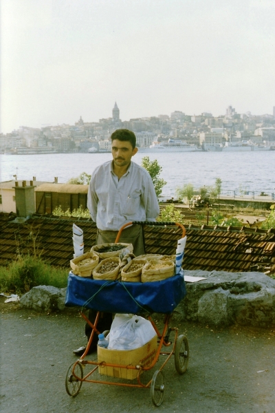 Turkije (60)