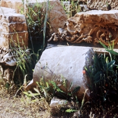 Turkije (23)