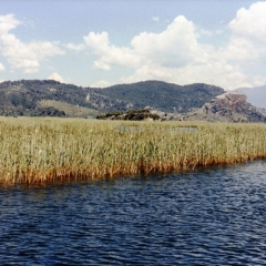Turkije (30)