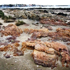 Uruguay (14)