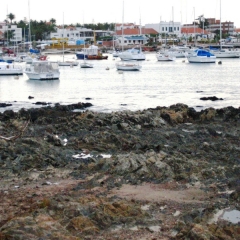 Uruguay (16)