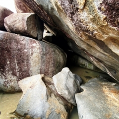 Virgin-Island-Gorda-15