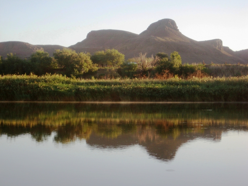 Zuid Afrika (103)