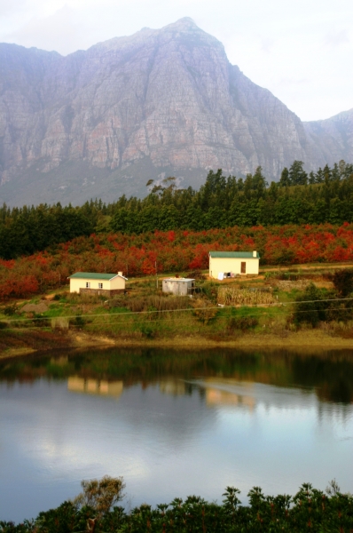 Zuid Afrika (106)