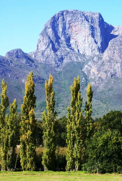 Zuid Afrika (126)