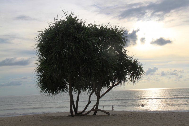 Zuid Thailand (9)
